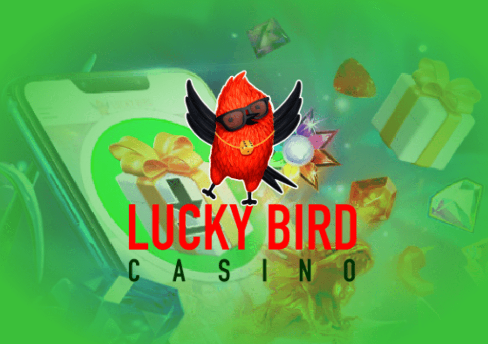 safe Playfina Casino new player bonus promotion